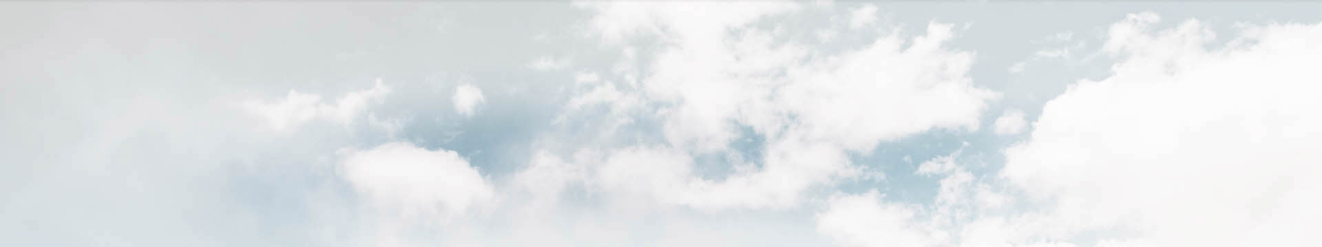 Búsqueda de Recalls